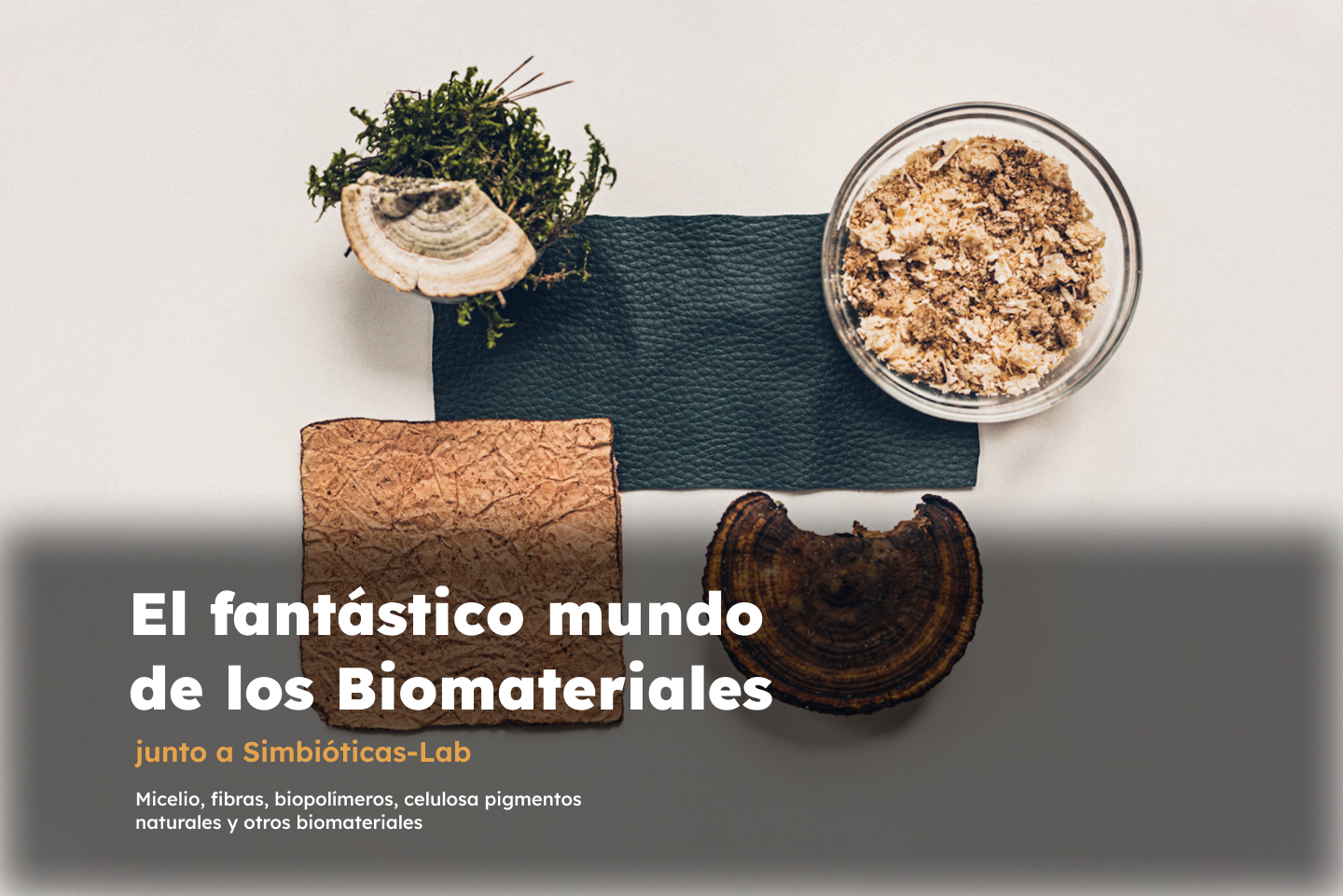 el-fantastico-mundo-de-los-biomateriales-simbioticas-lab